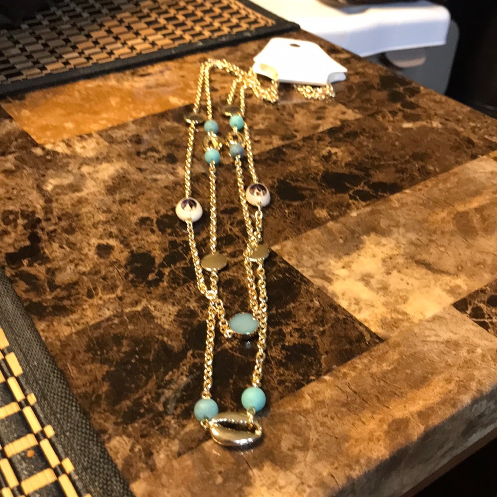 Lane Bryant long necklace.